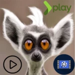 Logo of Videos Graciosos de Animales android Application 